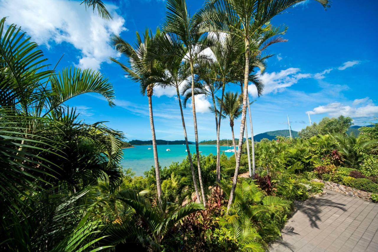 Shute Harbour Baybliss Escape #4 - Adults Only 아파트 외부 사진
